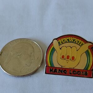 Hawaii Hang Loose Brooch - Multicolor